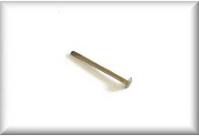 Nickel-plated rivet, total length 20.0 mm, shaft length 19,0 mm, diameter 1,0 mm, price per piece.